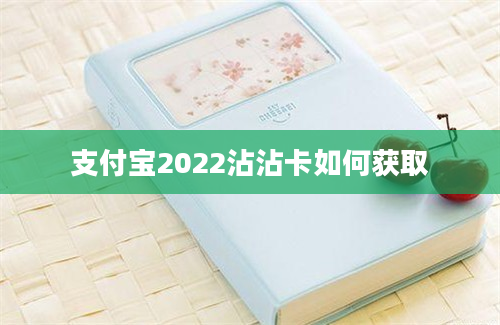 支付宝2022沾沾卡如何获取