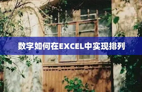 数字如何在EXCEL中实现排列