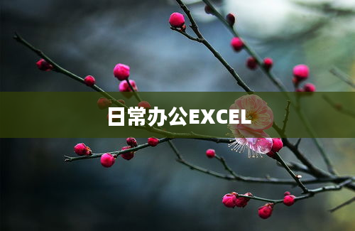 日常办公EXCEL