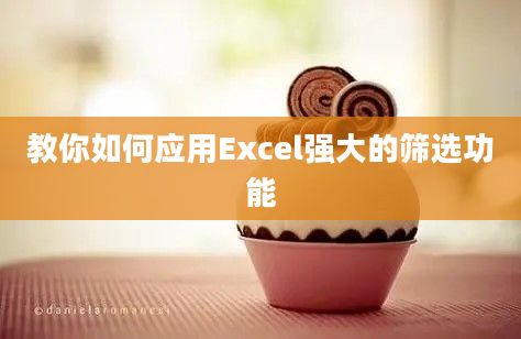 教你如何应用Excel强大的筛选功能