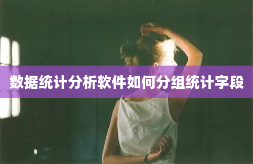 数据统计分析软件如何分组统计字段