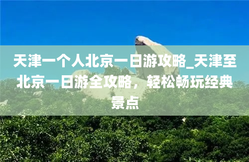 天津一个人北京一日游攻略_天津至北京一日游全攻略，轻松畅玩经典景点