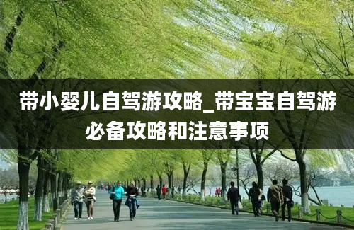 带小婴儿自驾游攻略_带宝宝自驾游必备攻略和注意事项