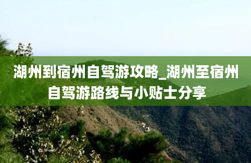 湖州到宿州自驾游攻略_湖州至宿州自驾游路线与小贴士分享