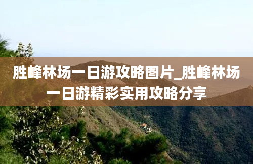 胜峰林场一日游攻略图片_胜峰林场一日游精彩实用攻略分享