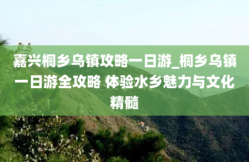 嘉兴桐乡乌镇攻略一日游_桐乡乌镇一日游全攻略 体验水乡魅力与文化精髓