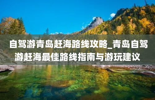 自驾游青岛赶海路线攻略_青岛自驾游赶海最佳路线指南与游玩建议