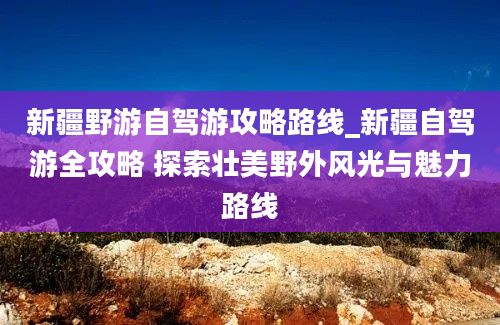 新疆野游自驾游攻略路线_新疆自驾游全攻略 探索壮美野外风光与魅力路线