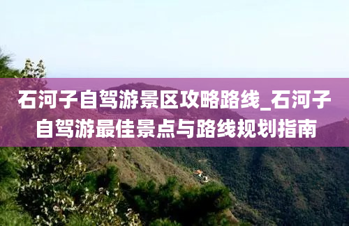 石河子自驾游景区攻略路线_石河子自驾游最佳景点与路线规划指南