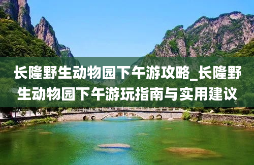 长隆野生动物园下午游攻略_长隆野生动物园下午游玩指南与实用建议