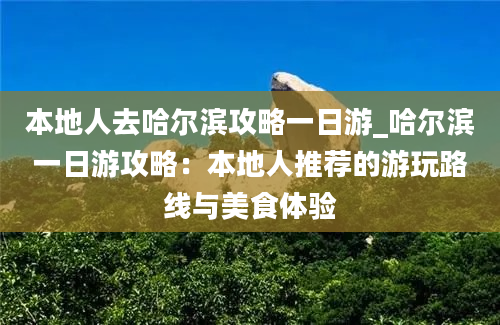 本地人去哈尔滨攻略一日游_哈尔滨一日游攻略：本地人推荐的游玩路线与美食体验