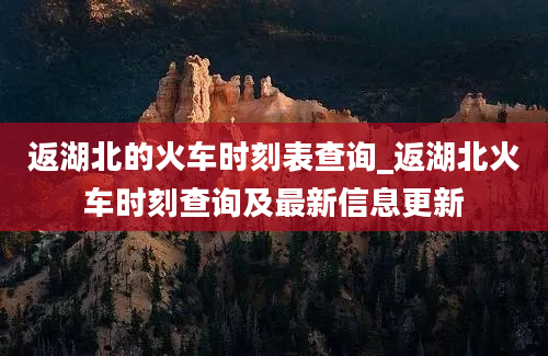 返湖北的火车时刻表查询_返湖北火车时刻查询及最新信息更新