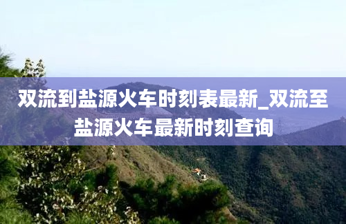 双流到盐源火车时刻表最新_双流至盐源火车最新时刻查询