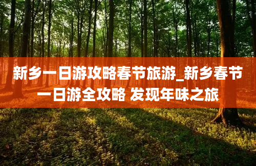 新乡一日游攻略春节旅游_新乡春节一日游全攻略 发现年味之旅