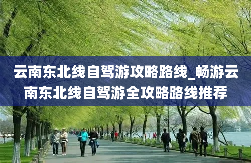 云南东北线自驾游攻略路线_畅游云南东北线自驾游全攻略路线推荐