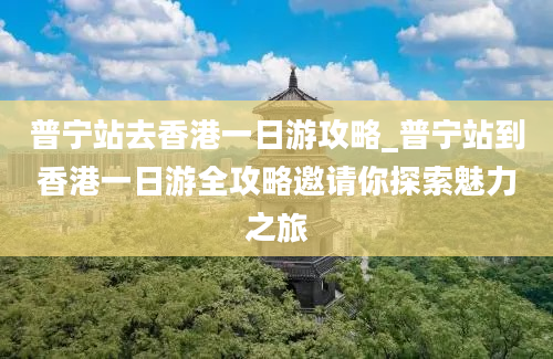 普宁站去香港一日游攻略_普宁站到香港一日游全攻略邀请你探索魅力之旅