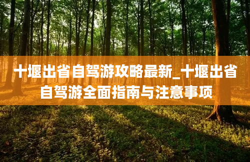 十堰出省自驾游攻略最新_十堰出省自驾游全面指南与注意事项