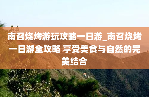 南召烧烤游玩攻略一日游_南召烧烤一日游全攻略 享受美食与自然的完美结合