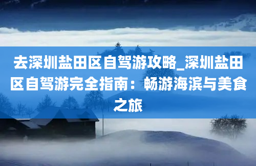 去深圳盐田区自驾游攻略_深圳盐田区自驾游完全指南：畅游海滨与美食之旅