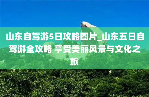 山东自驾游5日攻略图片_山东五日自驾游全攻略 享受美丽风景与文化之旅