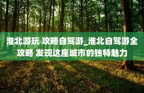 淮北游玩 攻略自驾游_淮北自驾游全攻略 发现这座城市的独特魅力