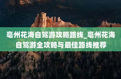 亳州花海自驾游攻略路线_亳州花海自驾游全攻略与最佳路线推荐