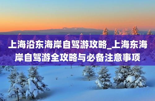 上海沿东海岸自驾游攻略_上海东海岸自驾游全攻略与必备注意事项