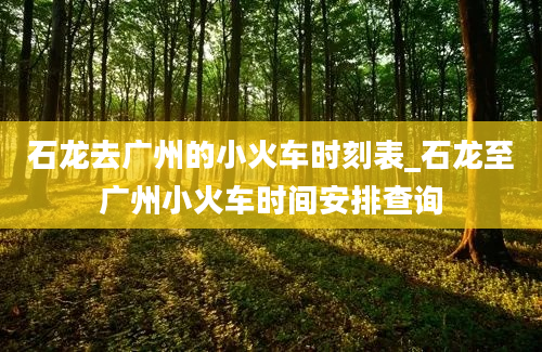 石龙去广州的小火车时刻表_石龙至广州小火车时间安排查询