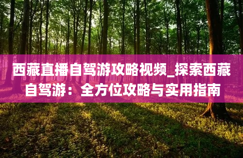 西藏直播自驾游攻略视频_探索西藏自驾游：全方位攻略与实用指南