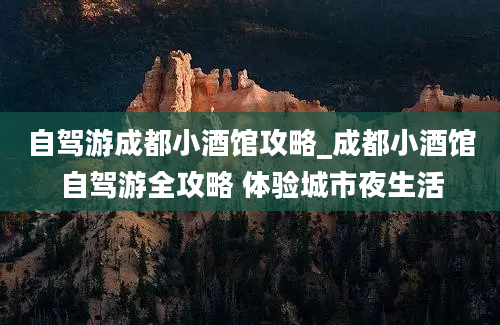 自驾游成都小酒馆攻略_成都小酒馆自驾游全攻略 体验城市夜生活