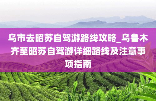 乌市去昭苏自驾游路线攻略_乌鲁木齐至昭苏自驾游详细路线及注意事项指南