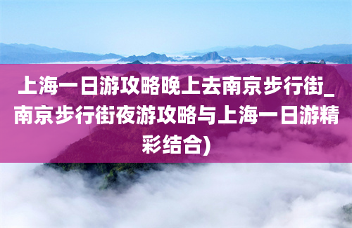 上海一日游攻略晚上去南京步行街_南京步行街夜游攻略与上海一日游精彩结合)