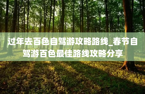 过年去百色自驾游攻略路线_春节自驾游百色最佳路线攻略分享