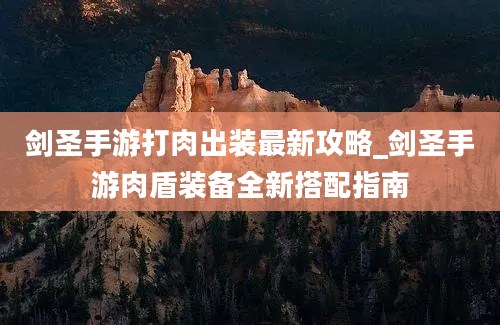 剑圣手游打肉出装最新攻略_剑圣手游肉盾装备全新搭配指南