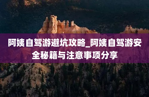 阿姨自驾游避坑攻略_阿姨自驾游安全秘籍与注意事项分享