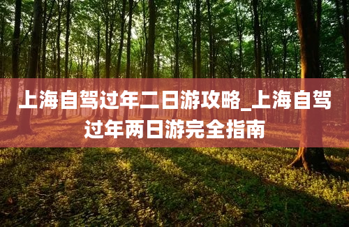 上海自驾过年二日游攻略_上海自驾过年两日游完全指南