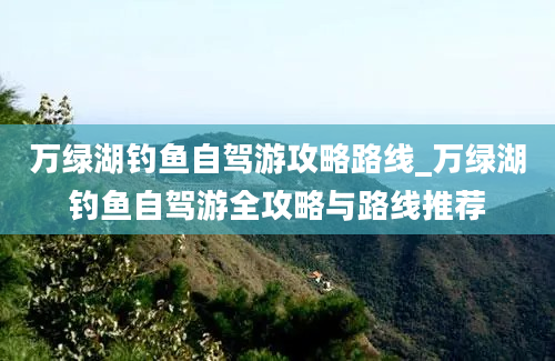 万绿湖钓鱼自驾游攻略路线_万绿湖钓鱼自驾游全攻略与路线推荐