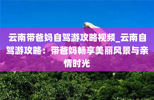 云南带爸妈自驾游攻略视频_云南自驾游攻略：带爸妈畅享美丽风景与亲情时光