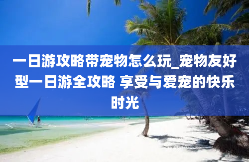 一日游攻略带宠物怎么玩_宠物友好型一日游全攻略 享受与爱宠的快乐时光