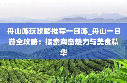 舟山游玩攻略推荐一日游_舟山一日游全攻略：探索海岛魅力与美食精华