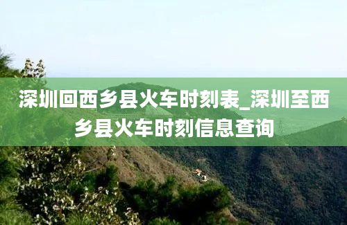 深圳回西乡县火车时刻表_深圳至西乡县火车时刻信息查询