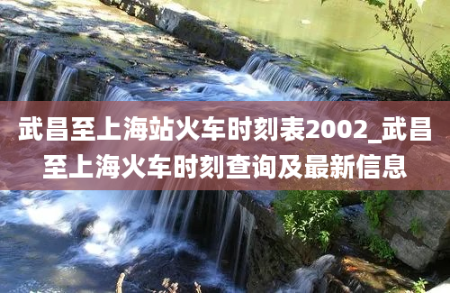 武昌至上海站火车时刻表2002_武昌至上海火车时刻查询及最新信息