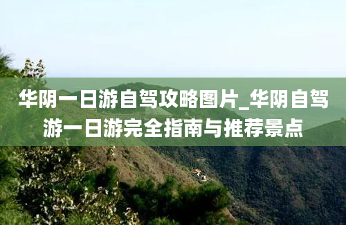 华阴一日游自驾攻略图片_华阴自驾游一日游完全指南与推荐景点