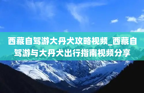 西藏自驾游大丹犬攻略视频_西藏自驾游与大丹犬出行指南视频分享