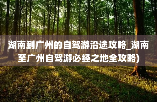 湖南到广州的自驾游沿途攻略_湖南至广州自驾游必经之地全攻略)