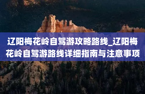 辽阳梅花岭自驾游攻略路线_辽阳梅花岭自驾游路线详细指南与注意事项