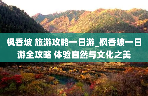 枫香坡 旅游攻略一日游_枫香坡一日游全攻略 体验自然与文化之美