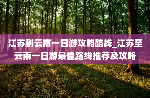 江苏到云南一日游攻略路线_江苏至云南一日游最佳路线推荐及攻略