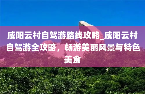 咸阳云村自驾游路线攻略_咸阳云村自驾游全攻略，畅游美丽风景与特色美食