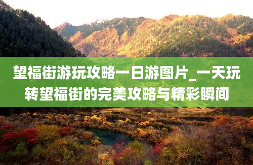 望福街游玩攻略一日游图片_一天玩转望福街的完美攻略与精彩瞬间